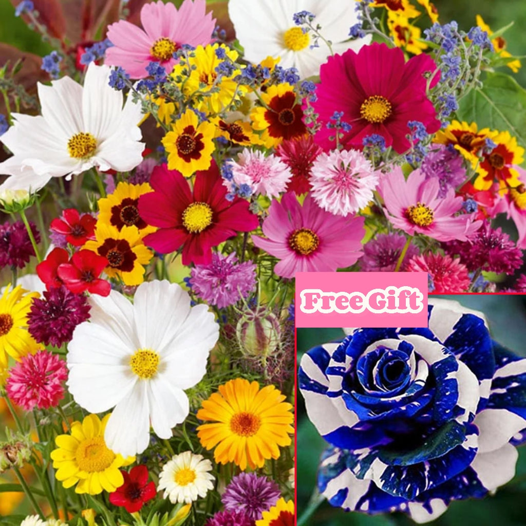 🔥 Latest varieties in 2026💐Mixed Perennial Flowers Seeds-Over 60 kinds mixed