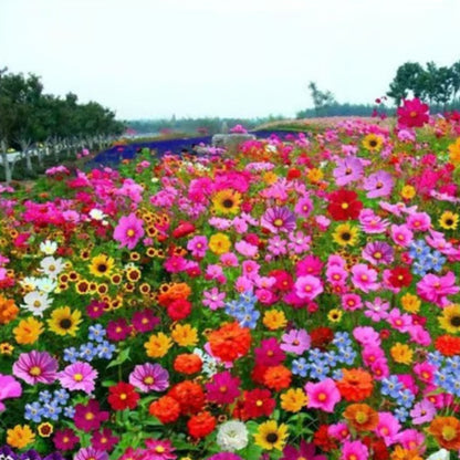 🔥 Latest varieties in 2026💐Mixed Perennial Flowers Seeds-Over 60 kinds mixed