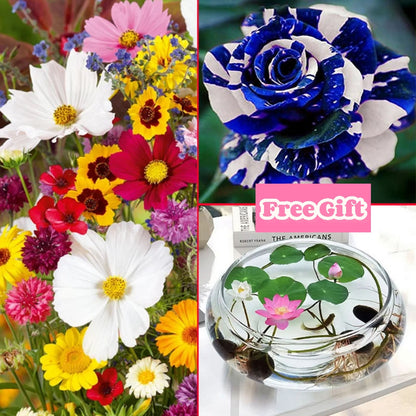 🔥 Latest varieties in 2026💐Mixed Perennial Flowers Seeds-Over 60 kinds mixed