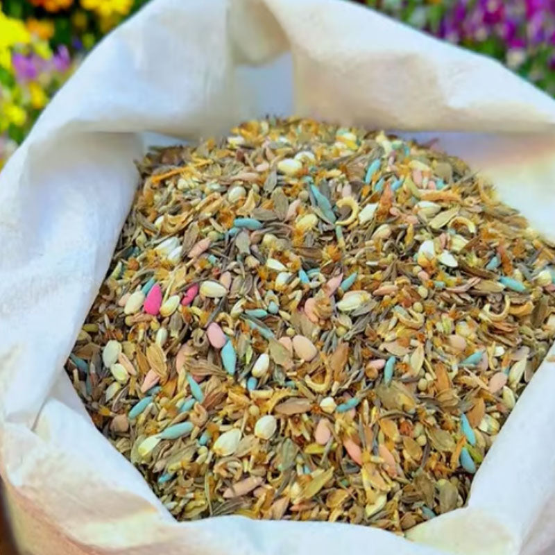 🔥 Latest varieties in 2026💐Mixed Perennial Flowers Seeds-Over 60 kinds mixed
