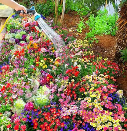 🔥 Latest varieties in 2026💐Mixed Perennial Flowers Seeds-Over 60 kinds mixed