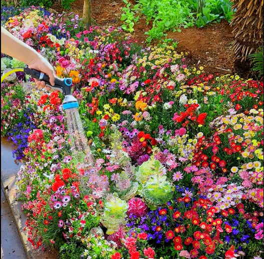 🔥 Latest varieties in 2026💐Mixed Perennial Flowers Seeds-Over 60 kinds mixed